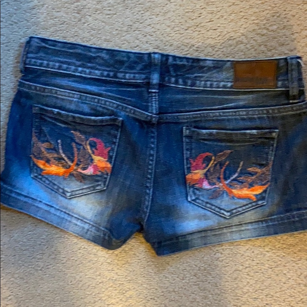 Express embroidered shorts